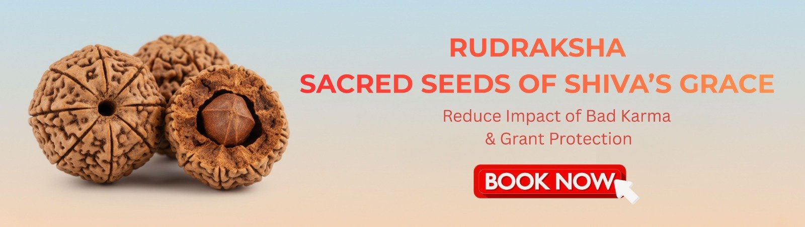 Rudraksha Sacred Seeds of Shiva's Grace